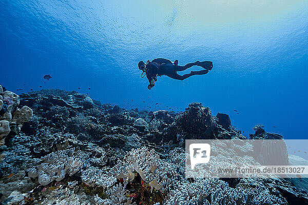 diver exploring a reef at Banda Sea / Indonesia