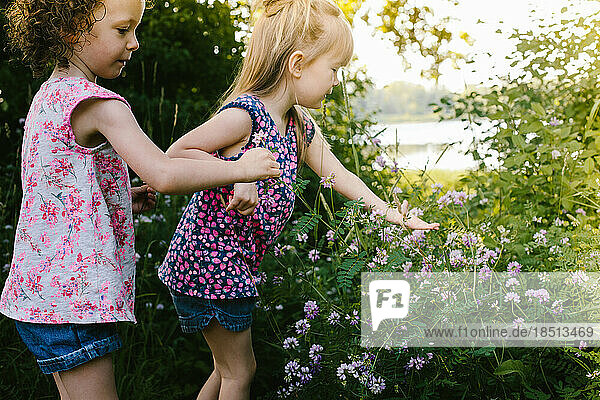 Girls in pink floral shirts picking flowers from nature grass