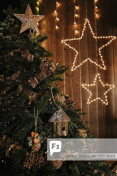 Weihnachtsbaum mit sternförmigen Lichtern im Hintergrund