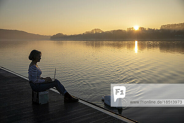 Freelancer working on laptop by swan swimming in lake at morning