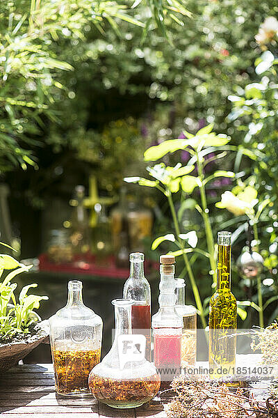 Fresh glass bottles of oil and vinegar at table in garden