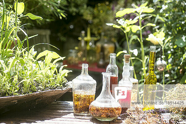 Organic herbs in oil and vinegar in garden