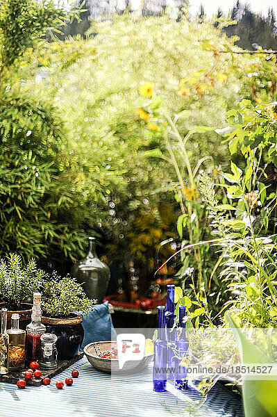 Fruits and bottles on garden table
