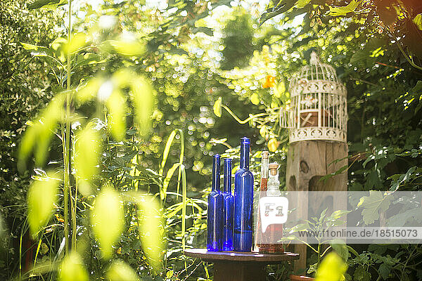 Blue bottles on pedestal standing amid green plants in home garden