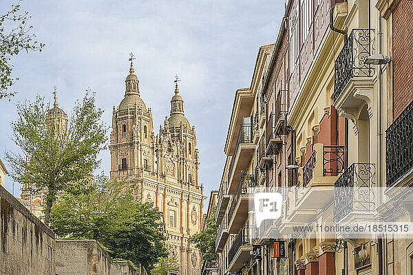 Spain  Castilla y Leon  Salamanca  Row of houses with bell towers of New Cathedral in background