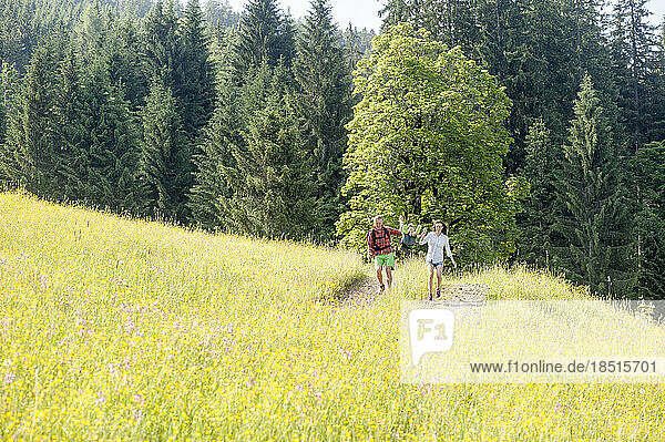 Mother and father enjoying with son in meadow on sunny day