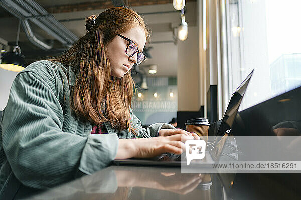 Young freelancer typing on laptop in cafe