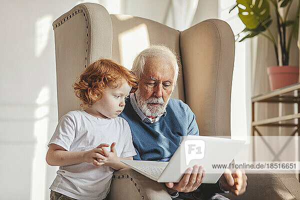 Grandfather sharing laptop sitting in armchair at home