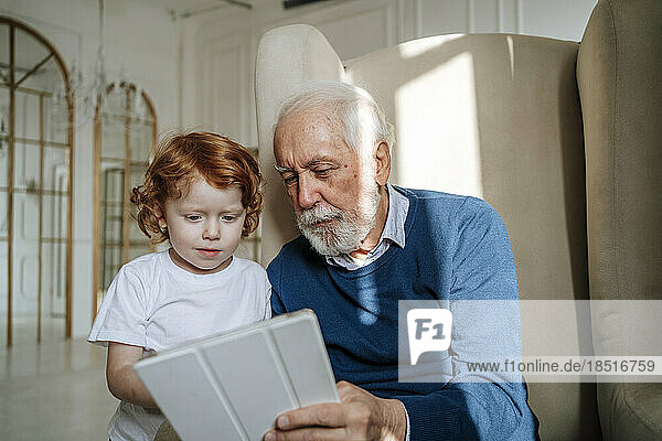 Senior man sharing tablet PC with grandson at home