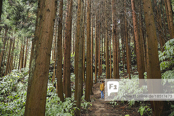 Young woman standing amidst tall trees in forest