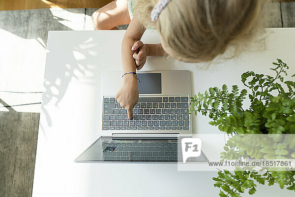 Girl using laptop on table by plant at home