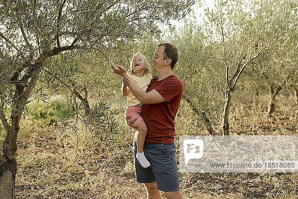 Smiling father showing olives on tree to daughter