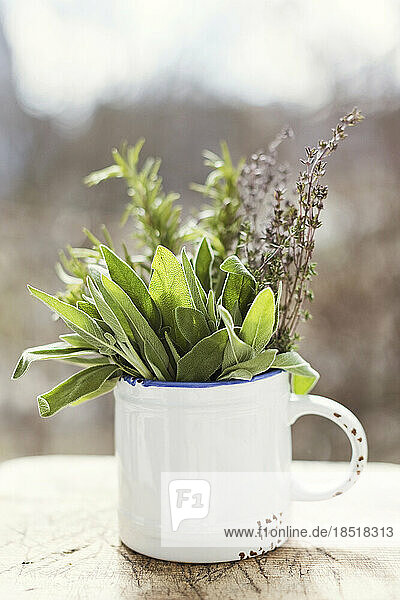 Fresh herbs in white mug