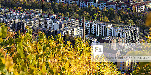 Germany  Baden-Wurttemberg  Esslingen  Modern apartment buildings in Neue Weststadt with autumn vineyard in foreground