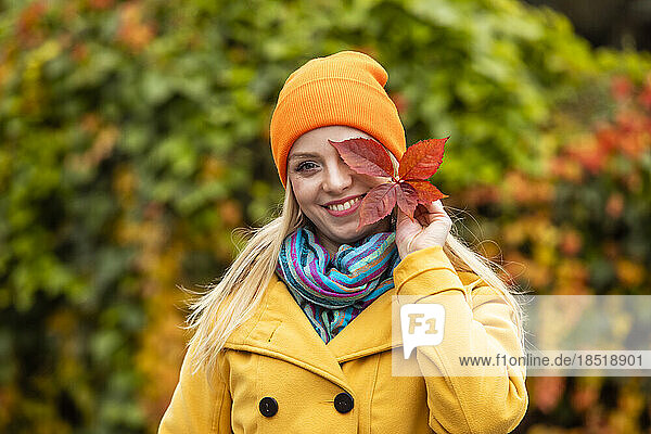 Happy woman wearing knit hat covering eye with autumn leaf in park