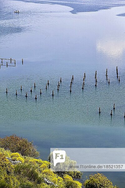 Butrintsee  Salzwasser Lagune an der Küste des Ionischen Meeres  Zuchtanlagen für Miesmuscheln (Mytilus galloprovincialis)  Saranda  Qark Vlora  Albanien  Europa