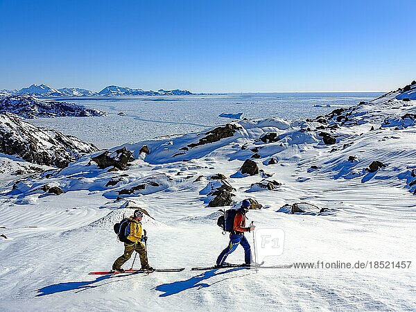 Skibergsteiger auf Skitour  hinten Packeis  Tasiilaq  Insel Ammassalik  Kommuneqarfik Sermersooq  Ostgrönland  Grönland  Nordamerika