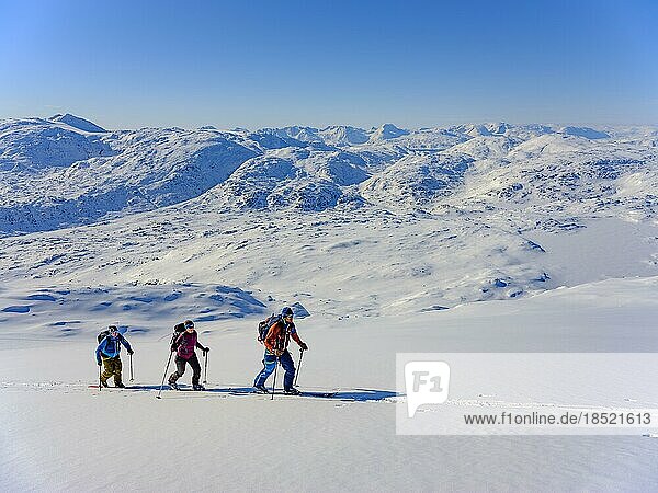 Ski mountaineer on ski tour  Tasiilaq  Ammassalik Island  Kommuneqarfik Sermersooq  East Greenland  Greenland  North America