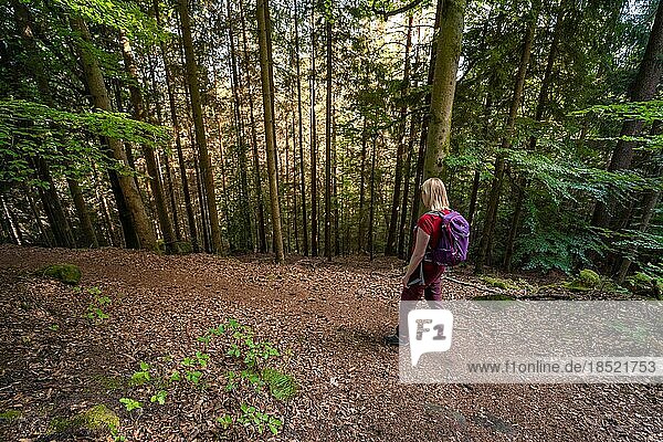 Wanderin im Wald  Bad Wildbad  Schwarzwald  Deutschland  Europa