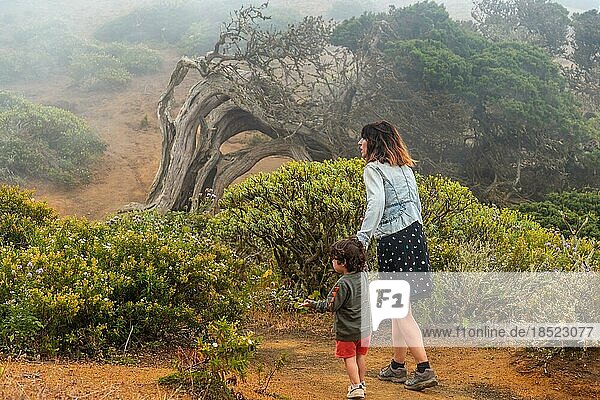 Mutter und Sohn gehen durch den Nebel zu einem vom Wind verdrehten Sabinar Baum auf El Hierro. Kanarische Inseln