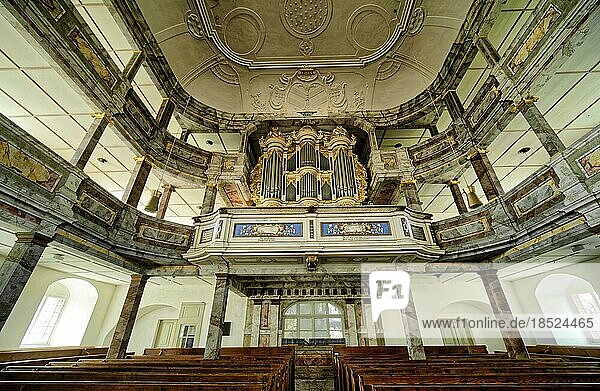 Baroque hall church St. Otto with the organ  interior  Wechselburg  Saxony  Germany  Europe