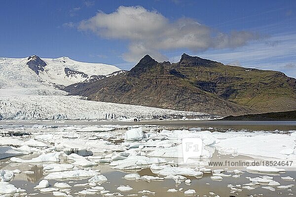 Blick auf den Gletschersee Fjallsárlón und den isländischen Gletscher Fjallsjökull  Teil des Vatnajökull im Sommer  Island  Europa