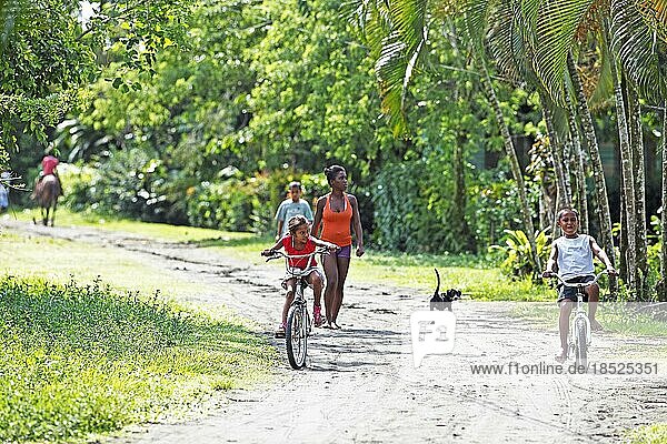 Costa Rican children riding bicycles in the jungle  Parismina  Limón Province  Costa Rica  Central America