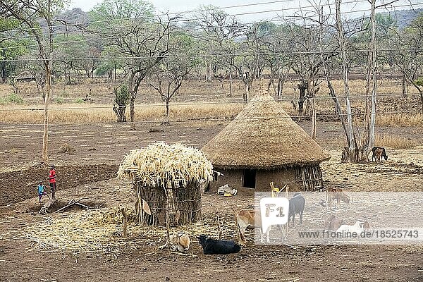 Traditionelle runde Hütte mit Strohdach des Gamo Stammes  Gamo Gofa Zone der Region Südliche Nationen  Nationalitäten und Völker in Äthiopien