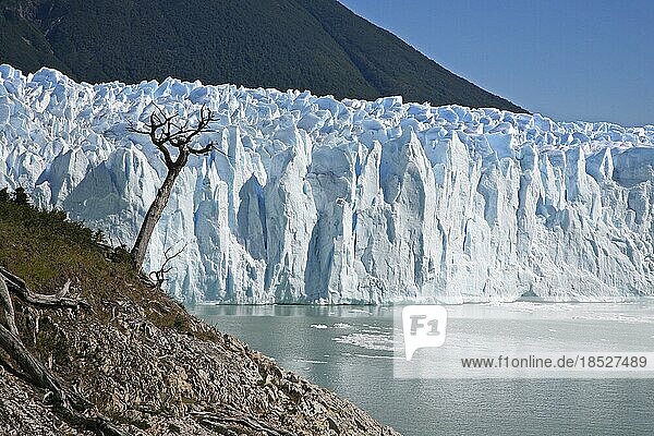 Perito Moreno Gletscher im Nationalpark Los Glaciares  Patagonien  Argentinien  Südamerika