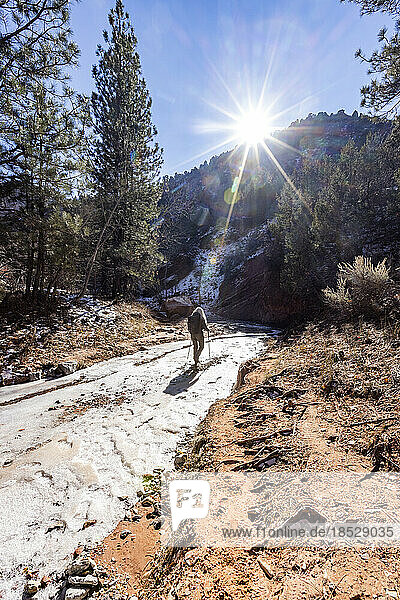 United States  Utah  Zion National Park  Senior blonde woman hiking
