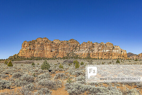United States  Utah  Zion National Park  Sandstone rock formation