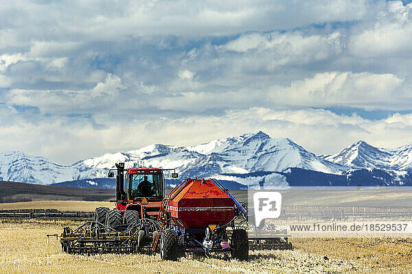 Tractor and seeder  seeding a field with snow covered mountain range in the distance with clouds and blue sky  West of High River  Alberta; Alberta  Canada