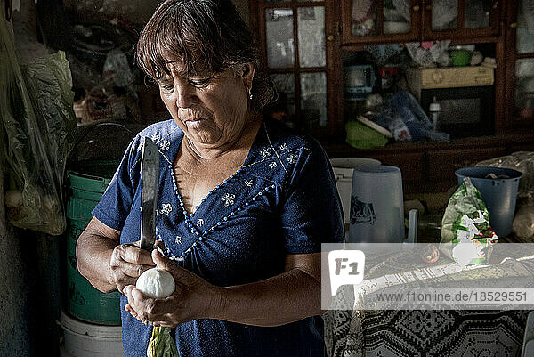 Frau beim Formen von Teig in ihrem Haus; Ejido Hidalgo  San Luis  Mexiko