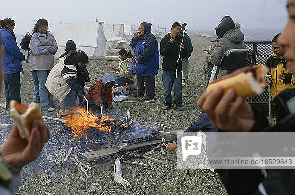 Inuit-Lager kocht und isst im Freien  North Slope Gebiet  Alaska  USA; North Slope  Alaska  Vereinigte Staaten von Amerika