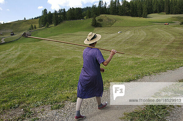 Eine ladinische Frau geht einen Fußweg entlang und trägt eine Harke zu einem steilen Heufeld auf ihrem Bauernhof; Italien