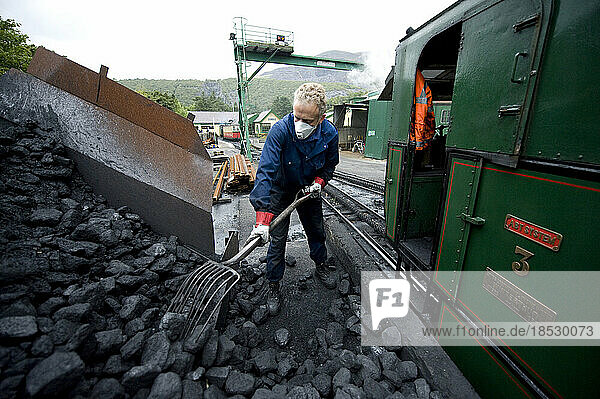 Mann schaufelt Kohle in einer Lokomotive auf dem Mount Snowdon in Wales  England; Mount Snowdon  Wales  England