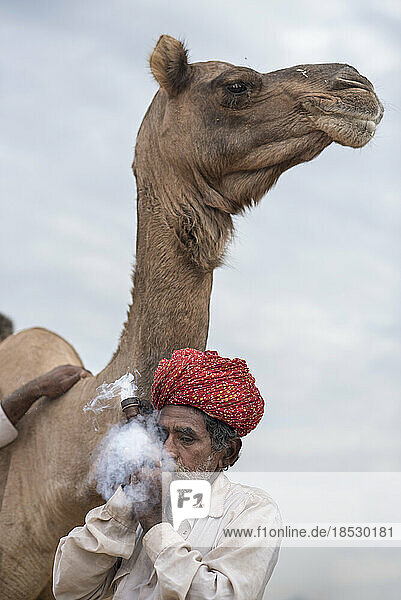 Indischer Mann raucht eine Chillum-Pfeife und steht neben seinem Kamel; Pushkar  Rajasthan  Indien