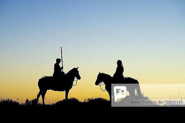 Reiter und ihre Pferde als Silhouette bei Sonnenaufgang; Saintes-Maries-de-la-Mer  Frankreich