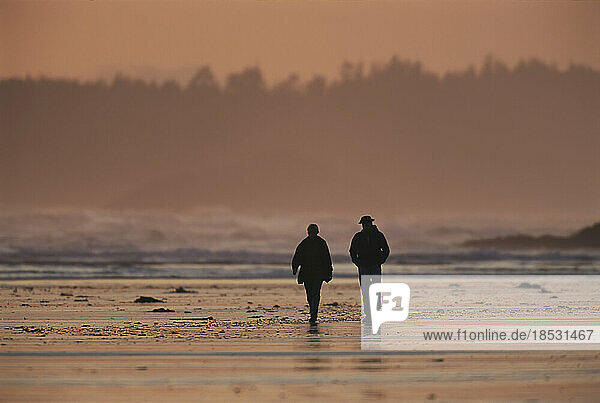 Two people walk along the tidal flats of Clayoquot Sound; Vancouver Island  British Columbia  Canada