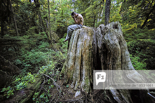 Junger Mann ohne Hemd  Kopf in den Händen  auf einem Baumstumpf in einem dichten Wald im Pacific Rim National Park  BC  Kanada; Vancouver Island  British Columbia  Kanada