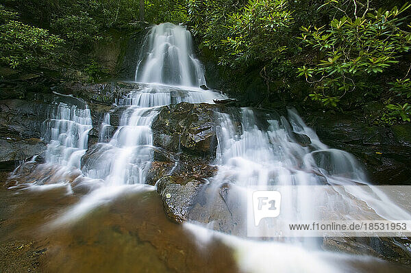 Wasserfall Laurel Falls  der sich über Felsen ergießt  im Great Smoky Mountains National Park  Tennessee  USA; Tennessee  Vereinigte Staaten von Amerika