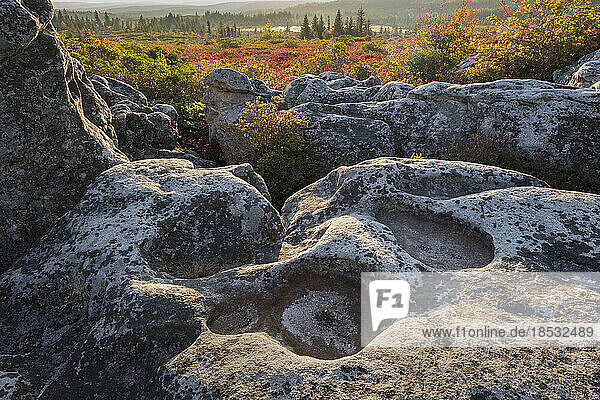 Sonnenuntergang im Hochland von Dolly Sods Wilderness Area  West Virginia  USA; Davis  West Virginia  Vereinigte Staaten von Amerika