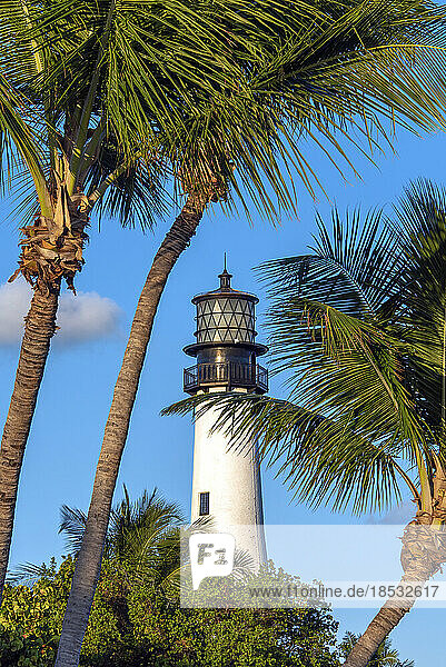 Cape Florida Light und Palmen an einem schönen  sonnigen Tag in Florida  USA; Florida  Vereinigte Staaten von Amerika