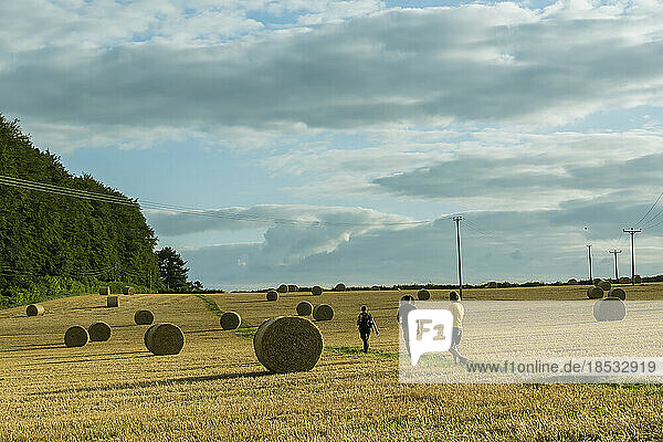 Landschaftliche Ansicht von drei Personen  die auf einem Pfad durch die goldenen  mit Strohballen übersäten Weizenfelder um Rockbourne in der Nähe von Salisbury wandern  unter einem bewölkten  blauen Himmel; Wiltshire  England
