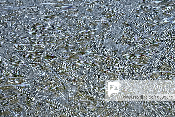 Schöne Muster auf der Eisfläche einer kleinen Pfütze; Churchill  Manitoba  Kanada