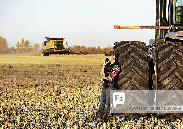 Eine reife Landwirtin lehnt sich an das Rad eines Traktors und spricht mit ihrem Smartphone  während ein Mähdrescher während der Herbsternte bei Sonnenuntergang auf den Feldern arbeitet; Alcomdale  Alberta  Kanada