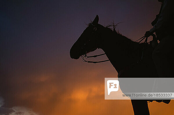 Silhouette eines Cowboys auf einem Pferd bei Sonnenaufgang vor einem dramatischen Himmel; Santa Fe  New Mexico  Vereinigte Staaten von Amerika