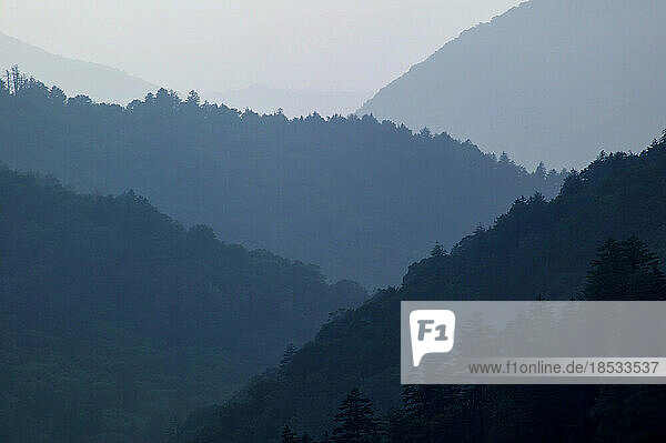 Silhouettierte Schichten von Bergen in den Appalachen von Newfound Gap im Great Smoky Mountains National Park  Tennessee  USA; Tennessee  Vereinigte Staaten von Amerika