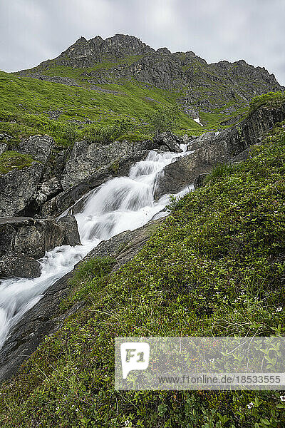 Ein Gletscherwasserfall  der über eine felsige Klippe an einem grünen Berghang am Archangel Hatcher Pass unter einem grauen  bewölkten Himmel in der Nähe der Independence Mine fließt; Palmer  Alaska  Vereinigte Staaten von Amerika