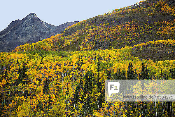 Spektakuläre Ausblicke auf die Herbstfarben und Berge entlang des Glenn Highway; Alaska  Vereinigte Staaten von Amerika